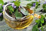 Ground ivy tea with a tea strainer