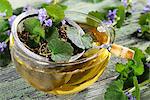 Ground ivy tea with a tea strainer