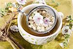 Marsh mallow root tea, roots and flowers