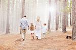 Family holding hands and walking in sunny woods