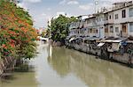 Red blossom and flats along a canal in Banglamphu, Bangkok, Thailand, Southeast Asia, Asia