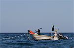 Panga fisherman setting nets, Isla San Marcos, Gulf of California (Sea of Cortez), Baja California Sur, Mexico, North America