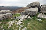 Granite boulders on a Tor near Hexworthy overlooking the Dart valley, Dartmoor National Park, Devon, England, United Kingdom, Europe