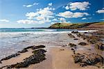 Manorbier, Pembrokeshire, Wales, United Kingdom, Europe