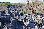 Tsingy de Bemaraha Strict Nature Reserve, UNESCO World Heritage Site, near the western coast in Melaky Region, Madagascar, Africa