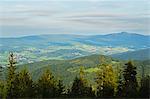 View of the Bavarian Forest, near Furth im Wald, Bavaria, Germany, Europe