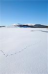 Clatteringshaws Loch, frozen and covered in winter snow, Dumfries & Galloway, Scotland