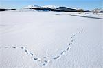 Clatteringshaws Loch, frozen and covered in winter snow, Dumfries and Galloway, Scotland, United Kingdom, Europe