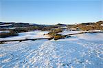 Fleet Valley National Scenic Area in winter snow, Dumfries and Galloway, Scotland, United Kingdom, Europe