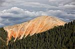 Bear Mountain, San Juan National Forest, Colorado, United States of America, North America