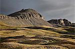 Alpine hills and rugged peaks, Rio Grande National Forest, Colorado, United States of America, North America