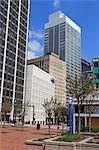 Skyscrapers on Peachtree Street, Atlanta, Georgia, United States of America, North America