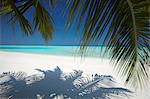 Tropical beach, Maldives, Indian Ocean, Asia