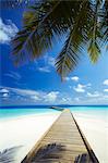 Wooden jetty out to tropical sea, Maldives, Indian Ocean, Asia