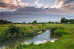 The River Windrush meanders through water meadows just outside the Cotswolds town of Burford, Oxfordshire, England, United Kingdom, Europe