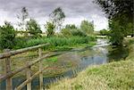 The River Windrush meandering through countryside near Burford in the Cotswolds, Oxfordshire, England, United Kingdom, Europe