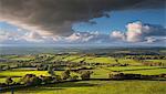 Rolling countryside near Brentor, Dartmoor, Devon, England, United Kingdom, Europe