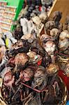 Dried llama foetuses in Witches' Market, La Paz, Bolivia, South America