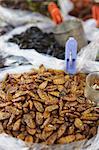 Deep fried insects at market, Phnom Penh, Cambodia, Indochina, Southeast Asia, Asia