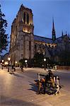 Notre Dame cathedral at night, Paris, France, Europe