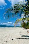 Beautiful sand beach, Cape Tribulation, Queensland, Australia, Pacific