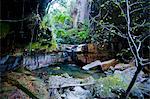 Little pond in a rock crack, Carnarvon Gorge, Queensland, Australia, Pacific