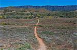 Dusty road leading in the Flinders National Park, South Australia, Australia, Pacific