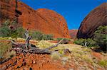 The Olgas (Kata Tjuta), Uluru-Kata Tjuta National Park, UNESCO World Heritage Site, Northern Territory, Australia, Pacific