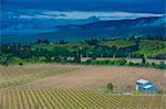 Little house in a agricultural field in Western Tasmania, Australia, Pacific