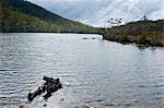 Mount Field National Park, Tasmania, Australia, Pacific