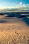 Rippled gypsum, sand dunes in the White Sands National Monument, New Mexico, United States of America, North America