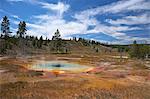 Thermal springs, Upper Geyser Basin, Yellowstone National Park, UNESCO World Heritage Site, Wyoming, United States of America, North America