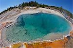 Black Pool, West Thumb Geyser Basin, Yellowstone National Park, UNESCO World Heritage Site, Wyoming, United States of America, North America