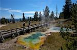 Tourists looking at Seismograph and Bluebell pools, West Thumb Geyser Basin, Yellowstone National Park, UNESCO World Heritage Site, Wyoming, United States of America, North America