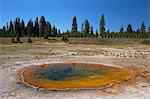 Thumb geyser, West Thumb Geyser Basin, Yellowstone National Park, UNESCO World Heritage Site, Wyoming, United States of America, North America