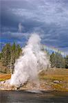 Riverside Geyser, Upper Geyser Basin, Yellowstone National Park, UNESCO World Heritage Site, Wyoming, United States of America, North America