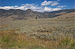 Landscape in Northern Yellowstone from Grand Loop Road, Yellowstone National Park, UNESCO World Heritage Site, Wyoming, United States of America, North America