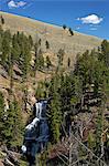 Undine Falls, near Mammoth Hot Springs, Yellowstone National Park, UNESCO World Heritage Site, Wyoming, United States of America, North America