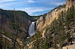 View of Lower Falls from Red Rock Point, Grand Canyon of the Yellowstone River, Yellowstone National Park, UNESCO World Heritage Site, Wyoming, United States of America, North America