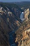 Lower Falls from Artists Point, Grand Canyon of the Yellowstone River, Yellowstone National Park, UNESCO World Heritage Site, Wyoming, United States of America, North America