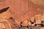 Fremont Indian petroglyphs in Capitol Reef National Park, Utah, United States of America, North America