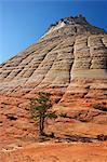 Checkerboard Mesa, formed of Navajo sandstone, Zion National Park, Utah, United States of America, North America