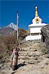 Buddhist Stupa, Solu Khumbu Region, Nepal, Himalayas, Asia