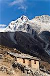 Dudh Kosi Valley, Solu Khumbu (Everest) Region, Nepal, Himalayas, Asia