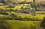 The sun lights up typical Lake District countryside near to Outgate, Cumbria, England, United Kingdom, Europe