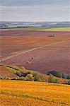 Vineyards near to Prehy in Burgundy, France, Europe