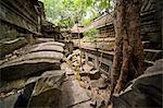 Ta Prohm Temple, Angkor, UNESCO World Heritage Site, Siem Reap, Cambodia, Indochina, Southeast Asia, Asia