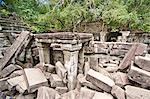 Ta Prohm Temple, Angkor, UNESCO World Heritage Site, Siem Reap, Cambodia, Indochina, Southeast Asia, Asia