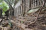 Ta Prohm Temple, Angkor, UNESCO World Heritage Site, Siem Reap, Cambodia, Indochina, Southeast Asia, Asia