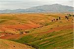 Overview of Valley Scenery near Ait Khaled (traditional Berber country), High Atlas, Morocco, Africa